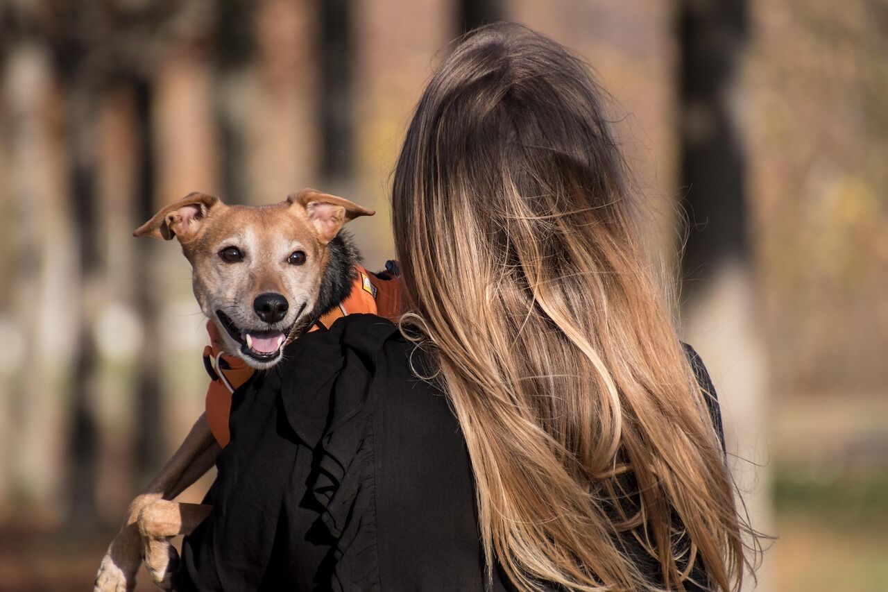 A trainer guiding a dog through a calm focus exercise in an outdoor class